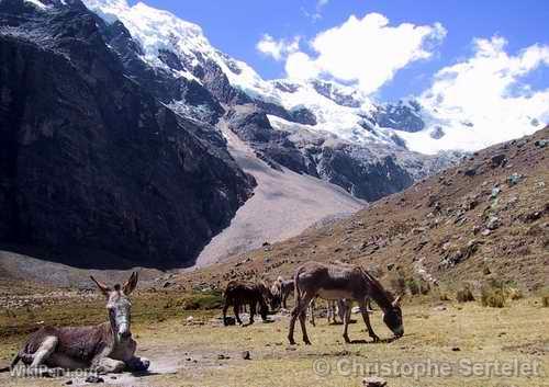 Cordillera Blanca