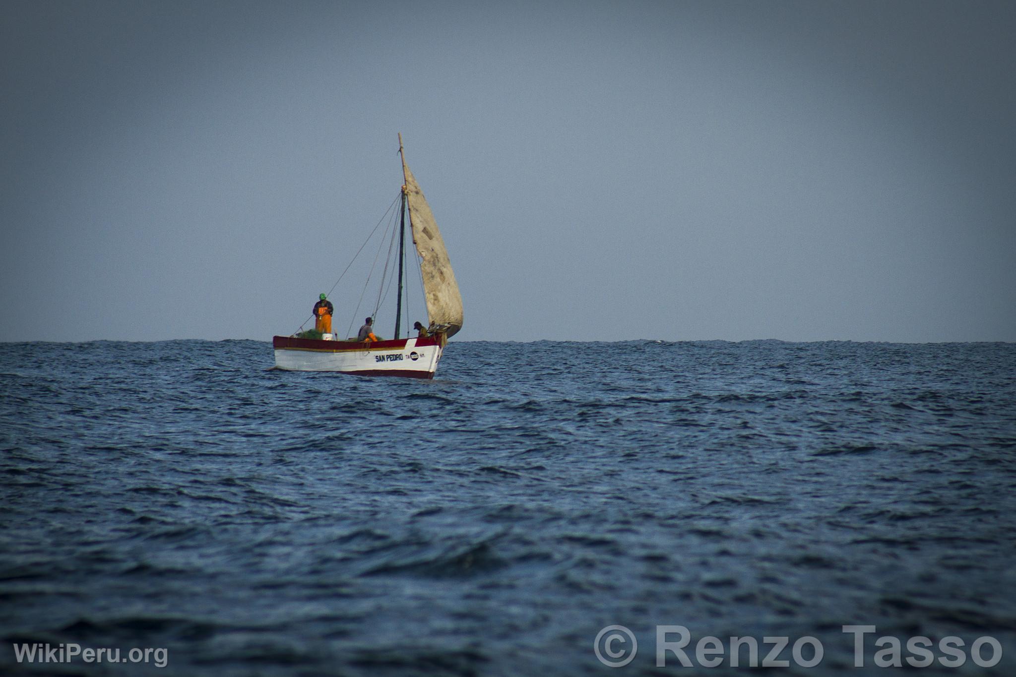 Embarcacin de pesca