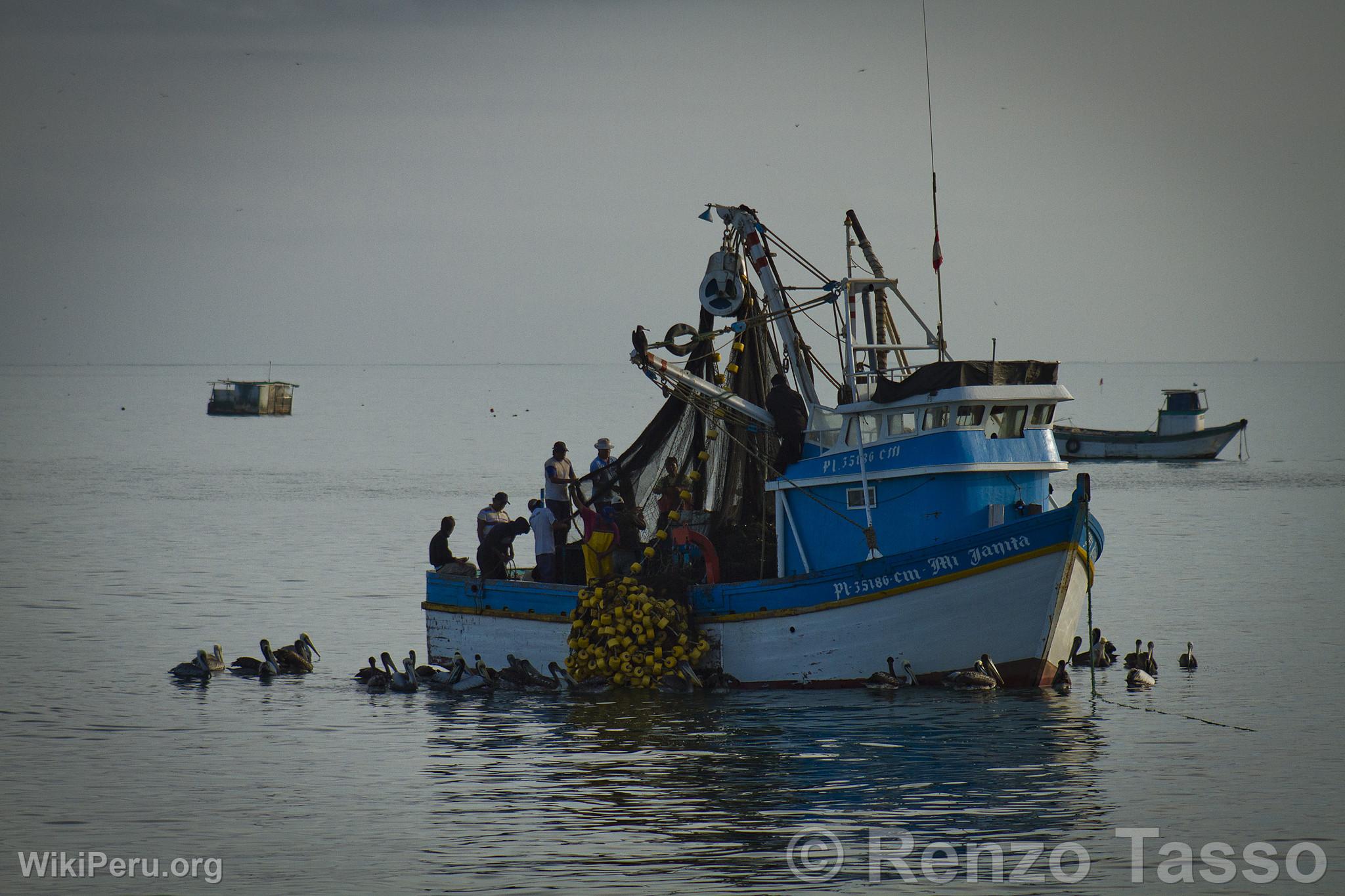 Embarcacin de pesca