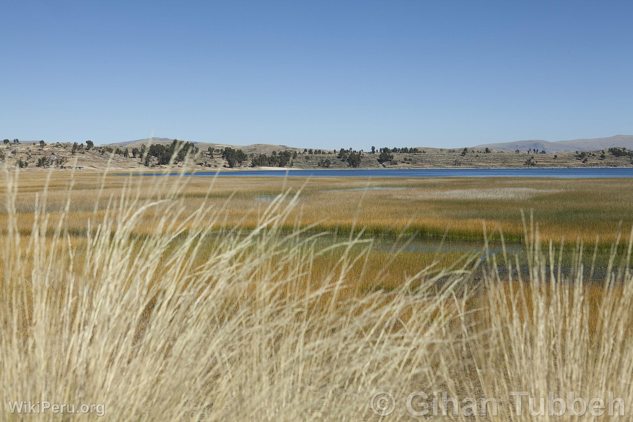 Lago Titicaca