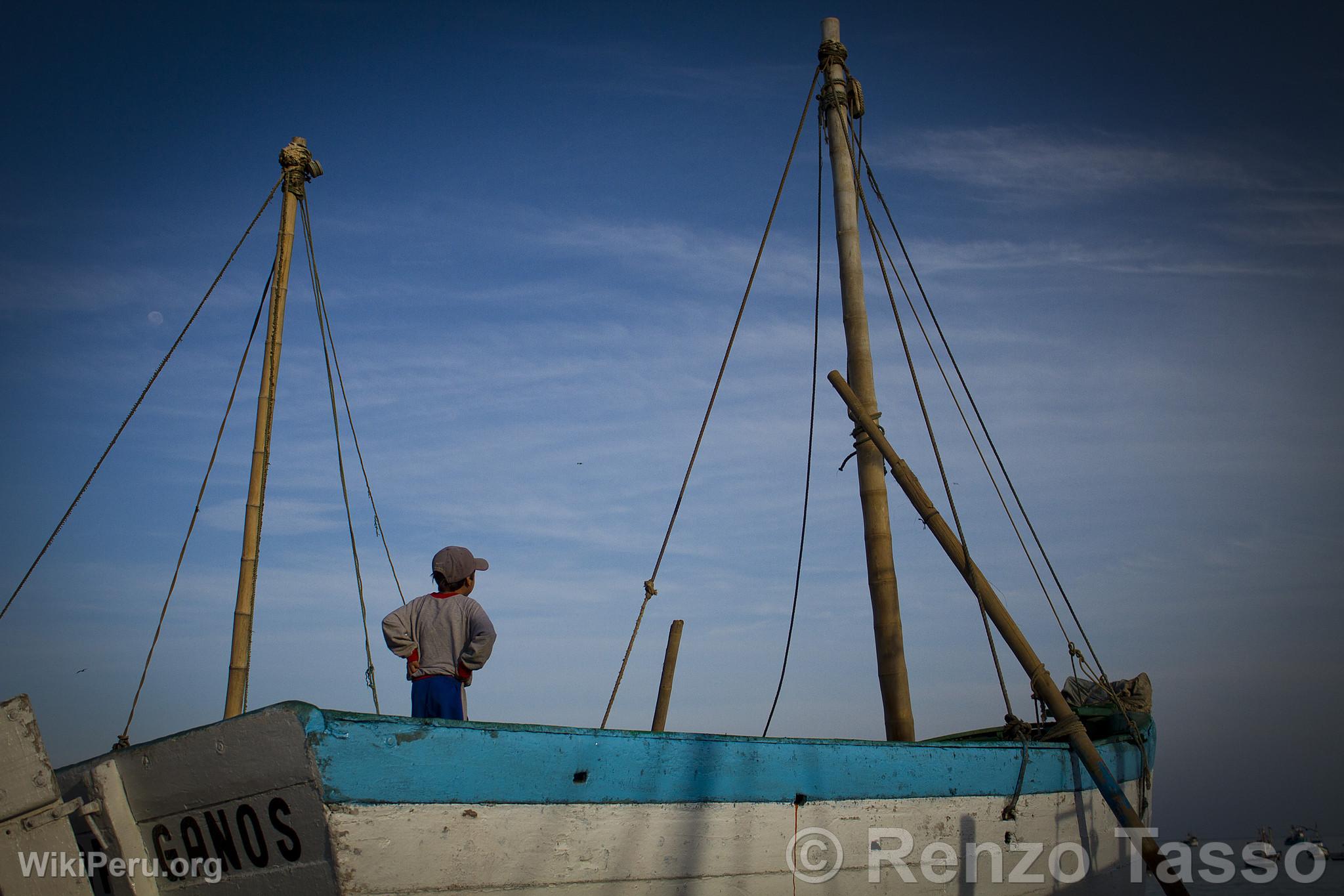 Bote en Los rganos