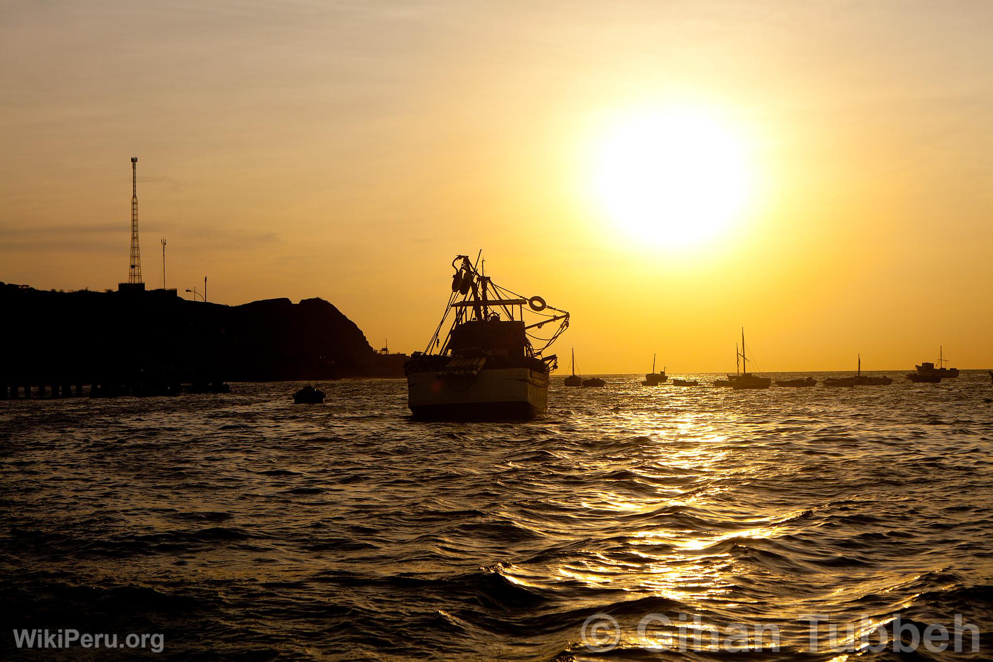 Botes en Los rganos