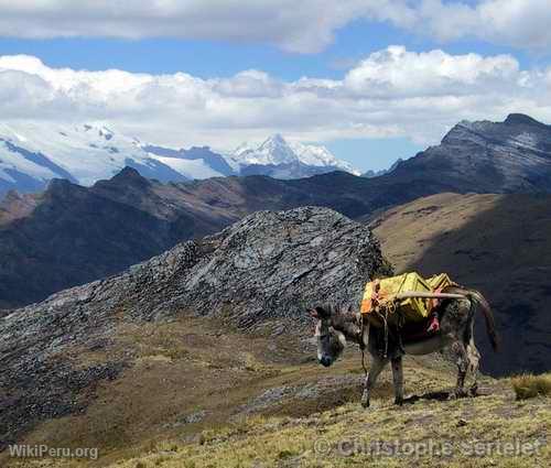 Cordillera Blanca