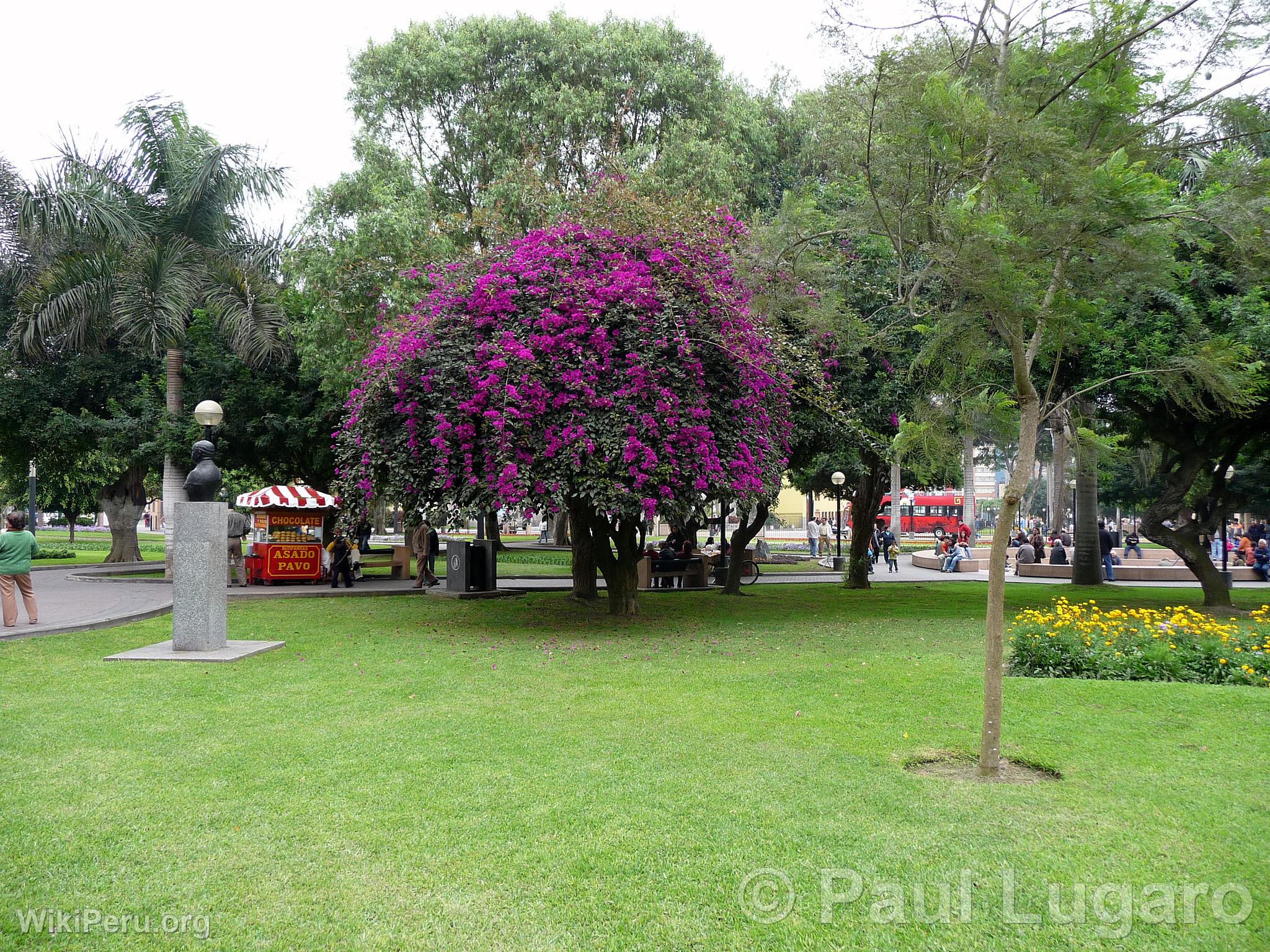 Parque Kennedy, Lima