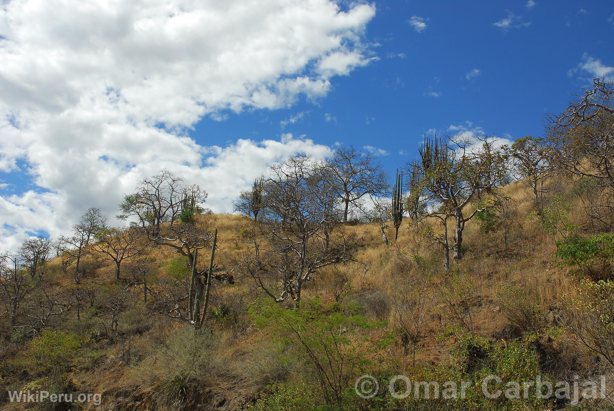 Ruta de Celendn a Leymebamba