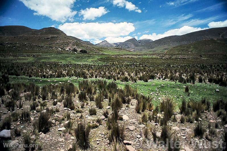 Paisaje de pramo. Huancavelica