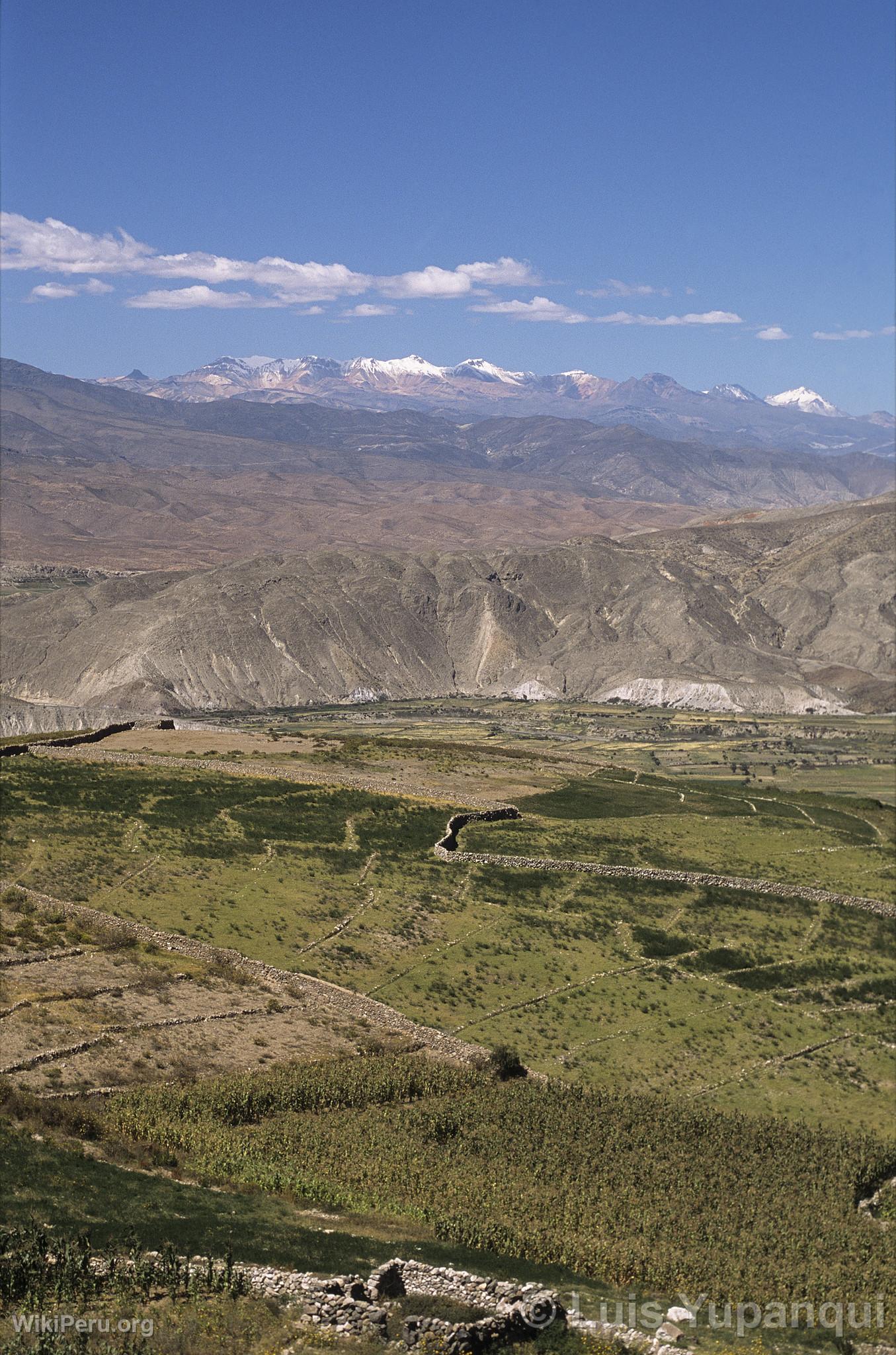 Andeneria y Cordillera Barroso