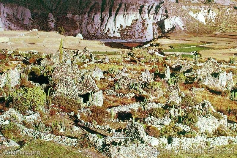 Reduccin de Yanque Viejo (Uyu Uyu). Valle del Colca