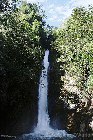 Catarata. Parque Nacional Yanachaga-Chemilln