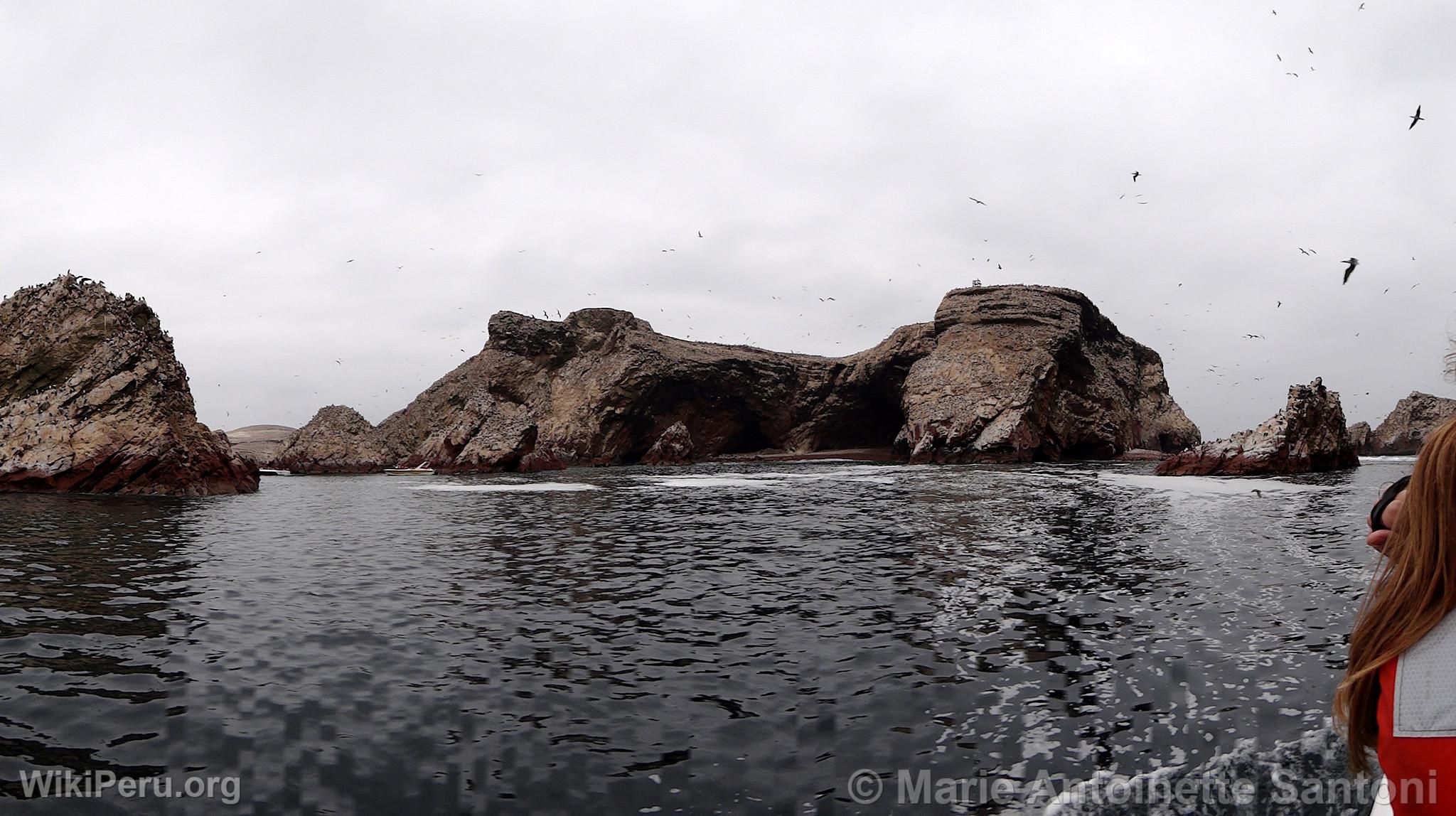 Islas Ballestas, Paracas