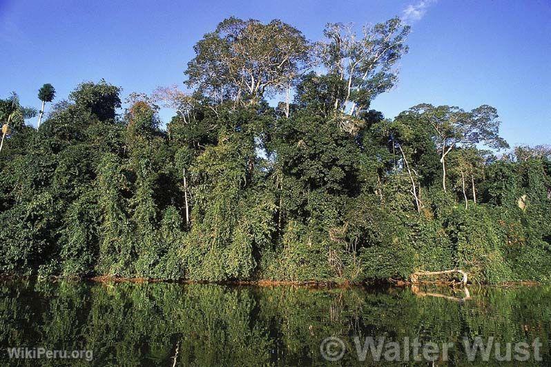 Reserva de Biosfera del Manu. Cuzco-Madre de Dios