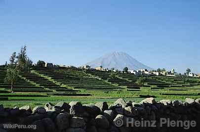 Campia de Arequipa