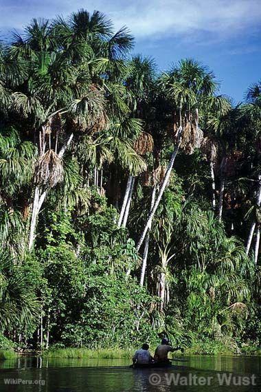 Tambopata - Candamo. Puno - Madre de Dios