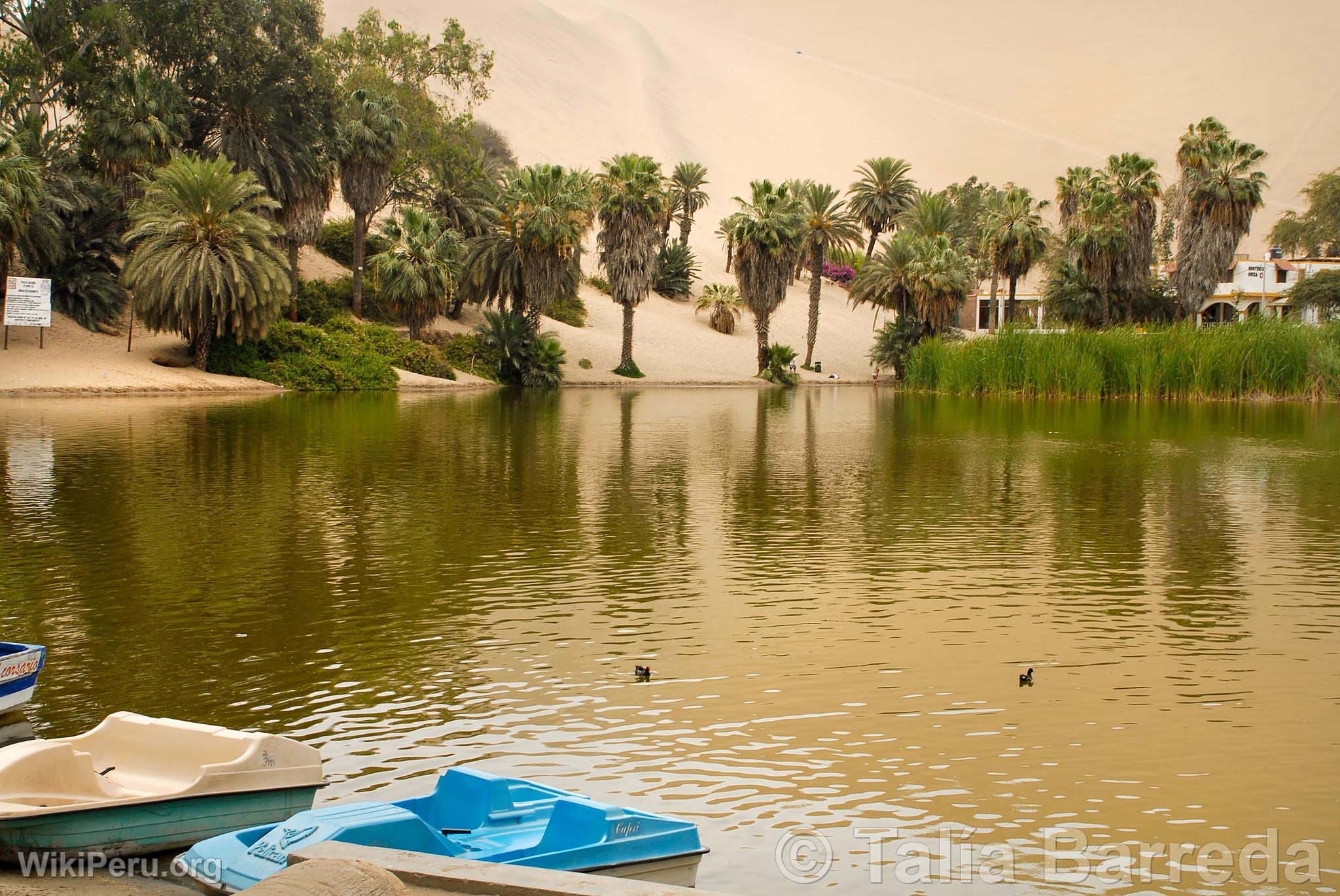 Laguna de Huacachina