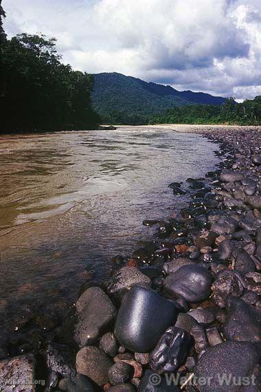 Parque Nacional Bahuaja-Sonene. Puno-Madre de Dios