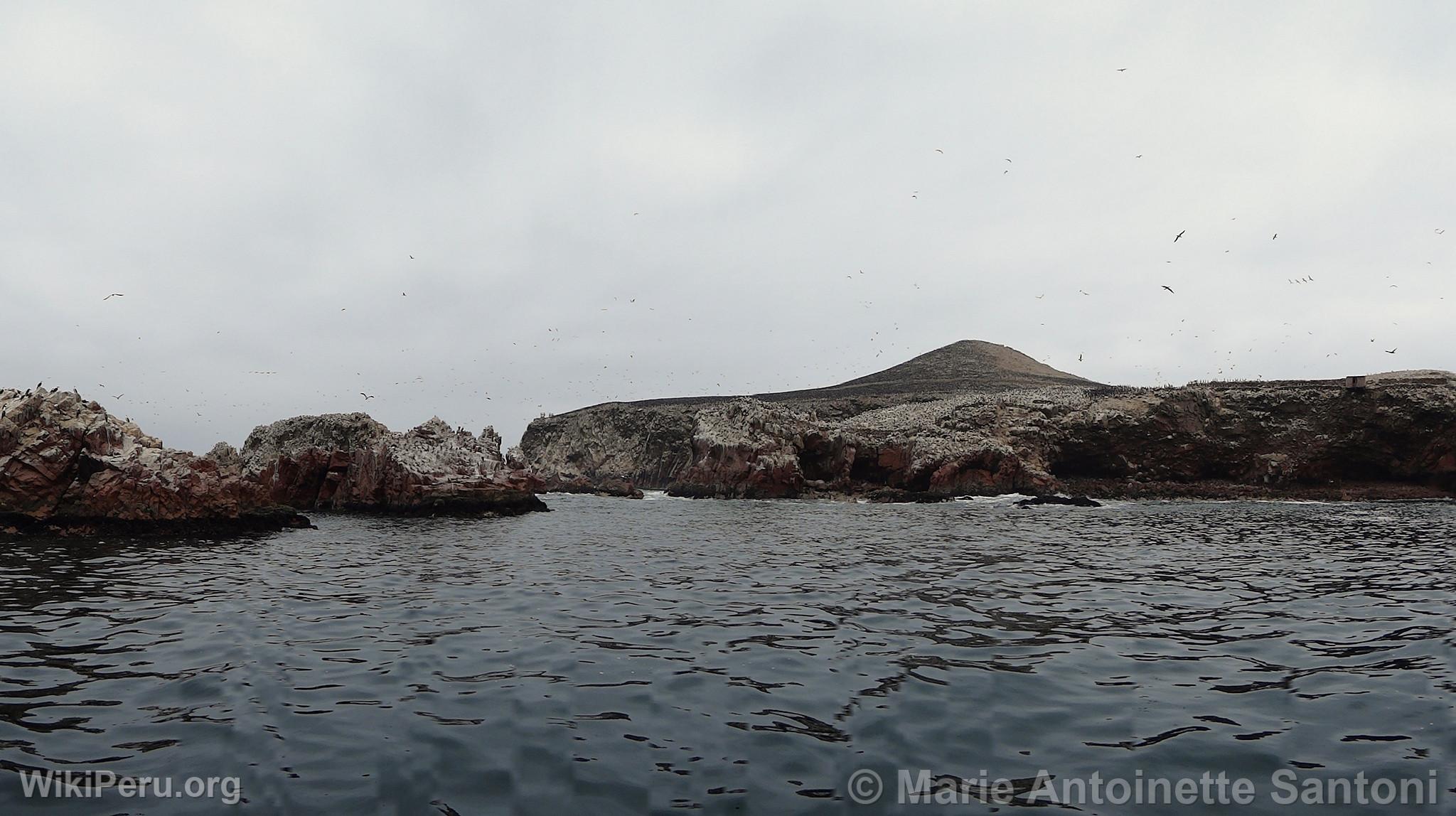 Islas Ballestas, Paracas