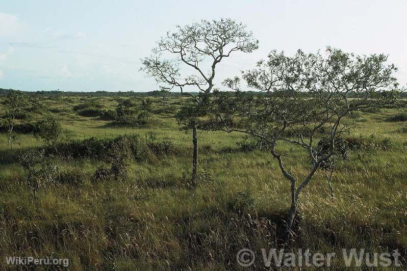 Santuario Nacional Pampas del Heath