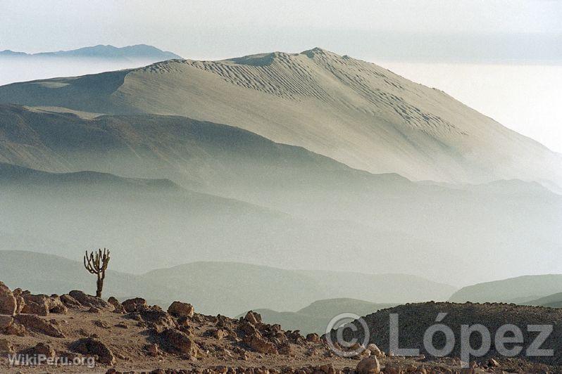 Reserva Nacional de Pampa Galeras, Ayacucho