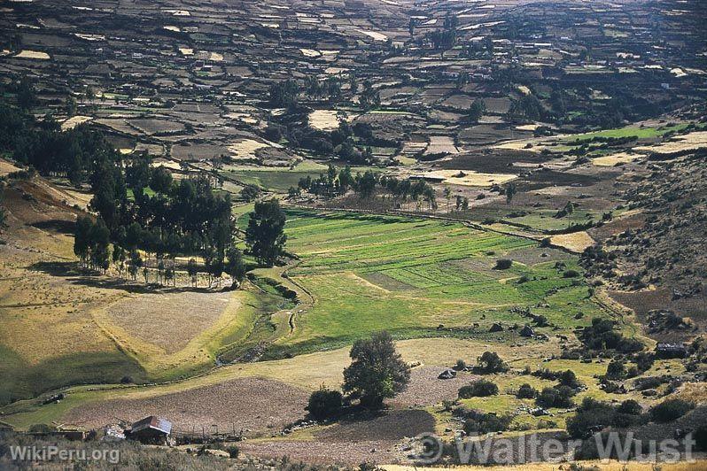 Agricultura