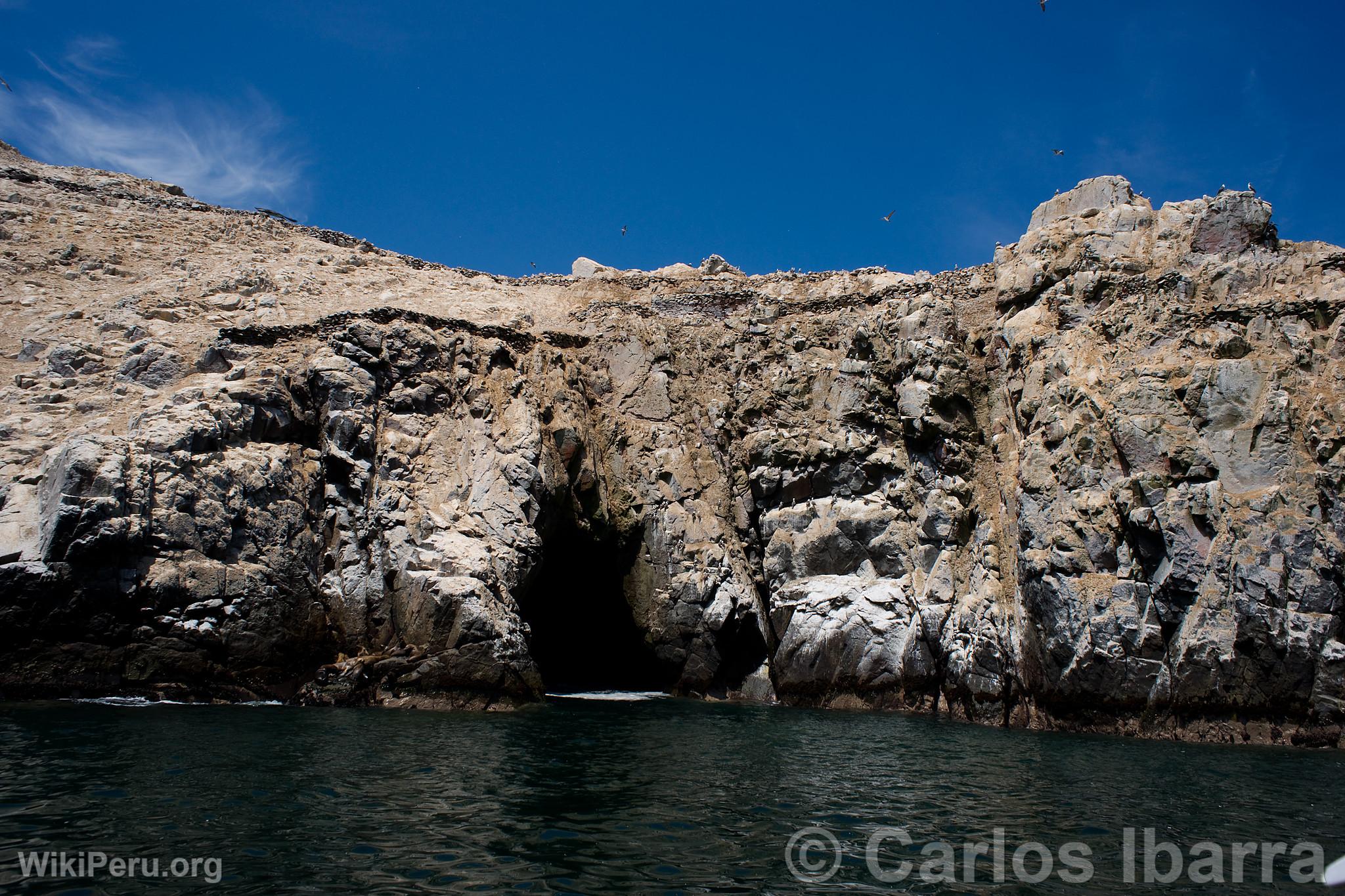 Las Islas Palomino, Callao