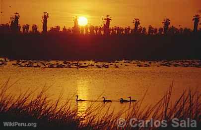 Pantanos de Villa