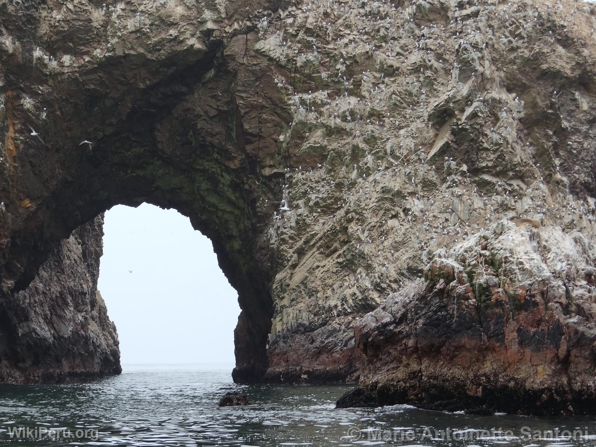 Islas Ballestas, Paracas