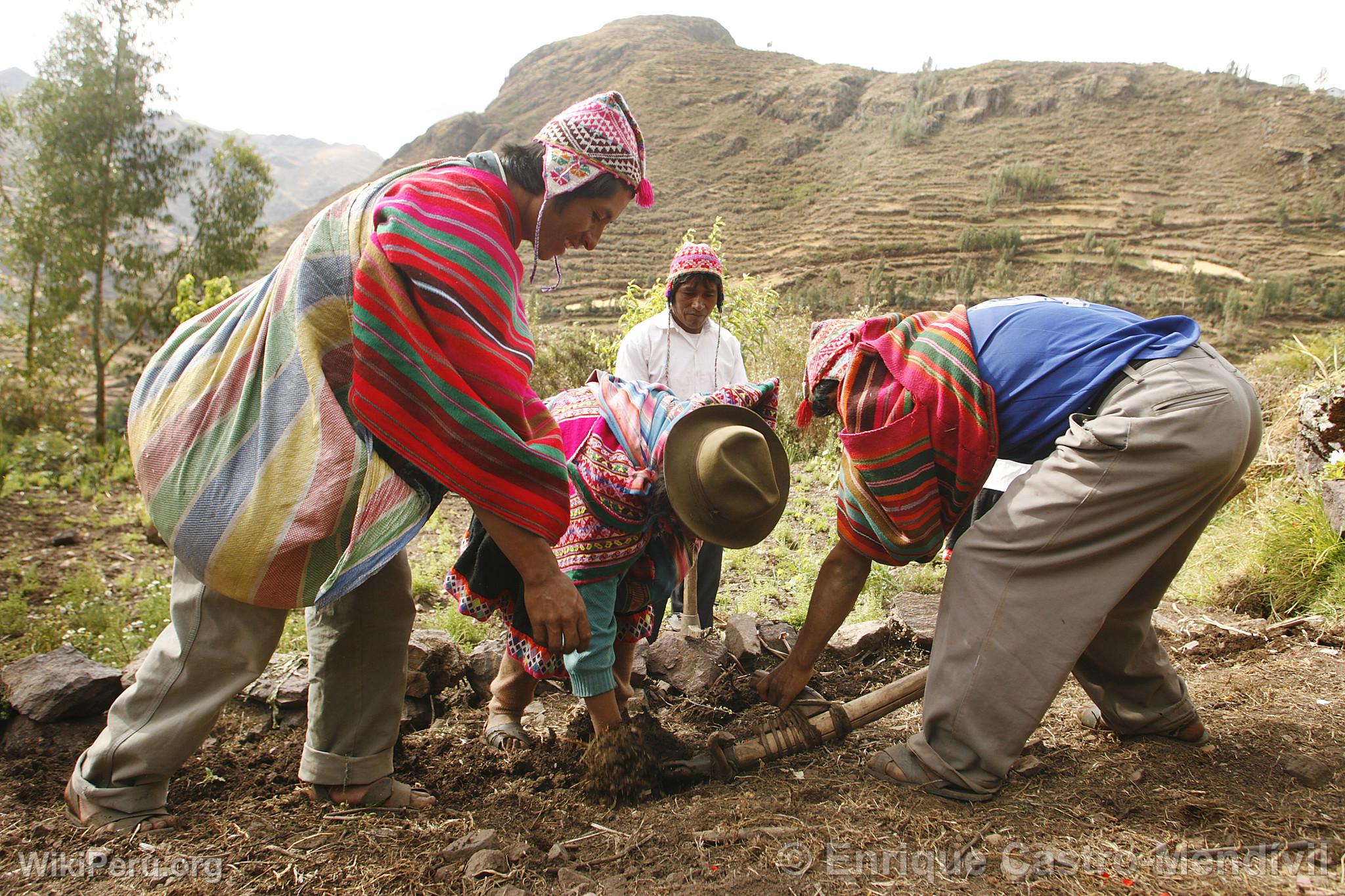 Comunidad de Lamay