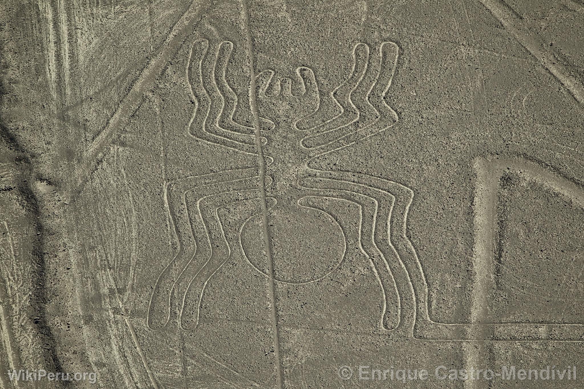 Lneas de Nazca