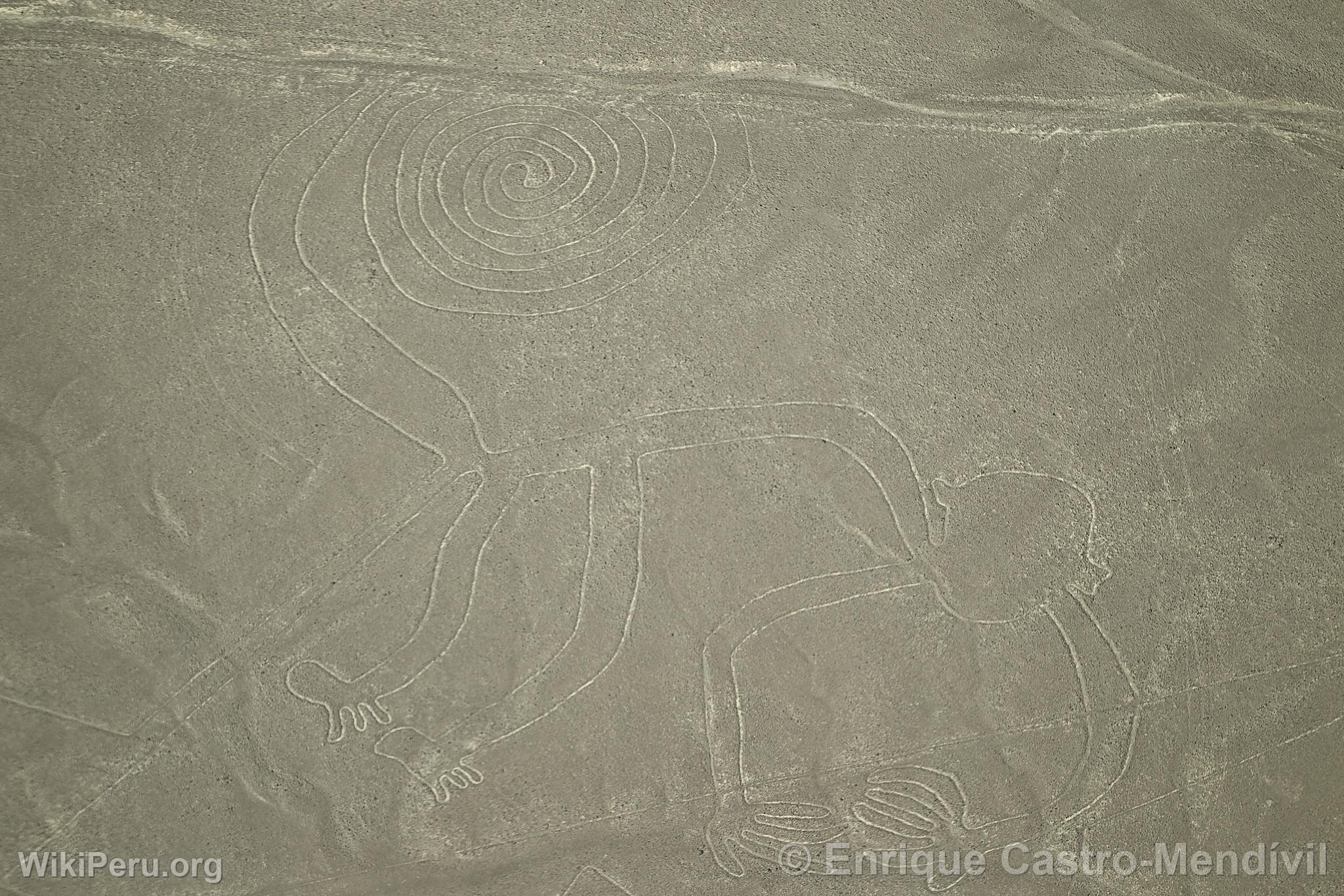 Lneas de Nazca