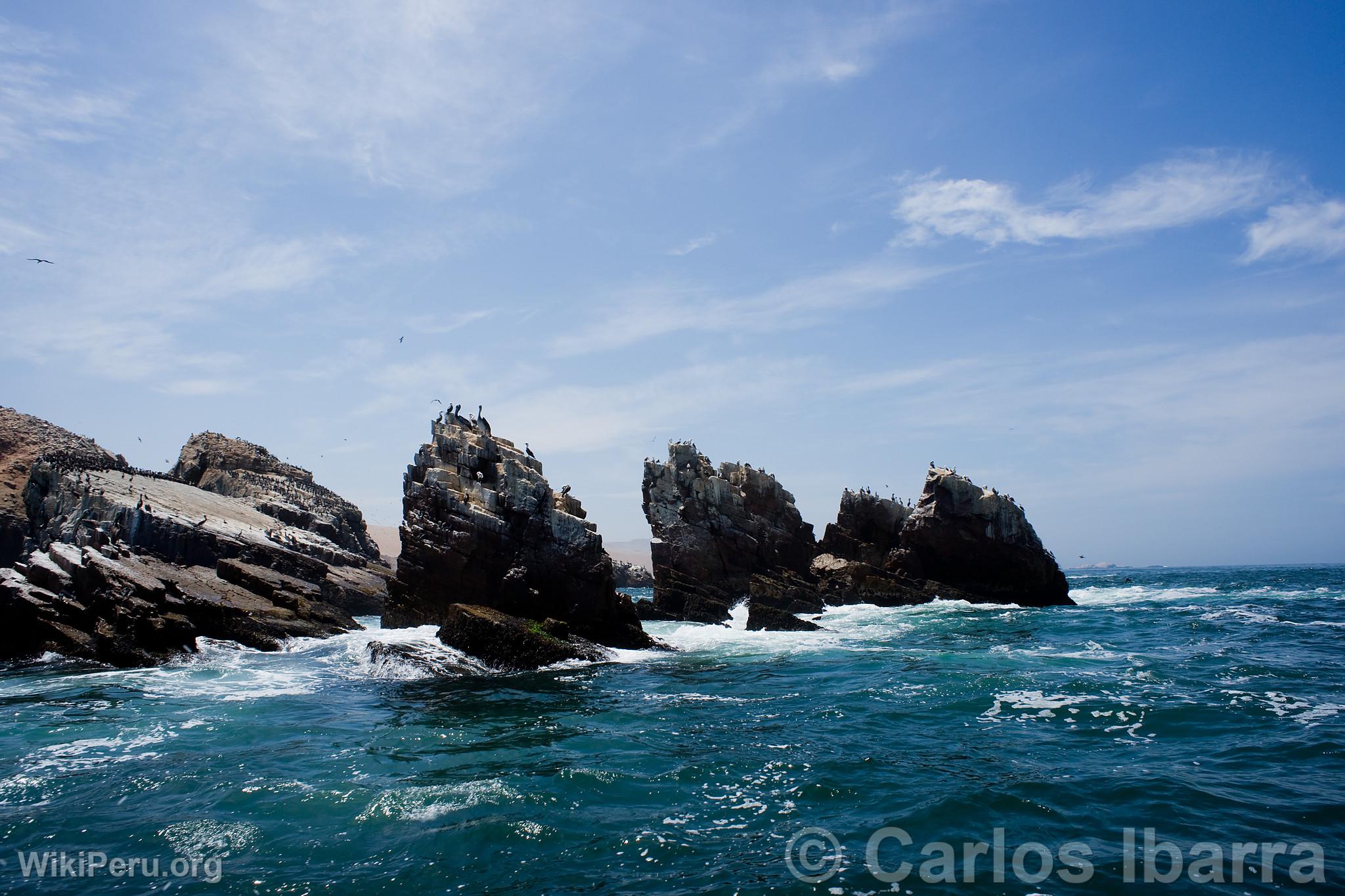 Islote de las Islas Palomino, Callao