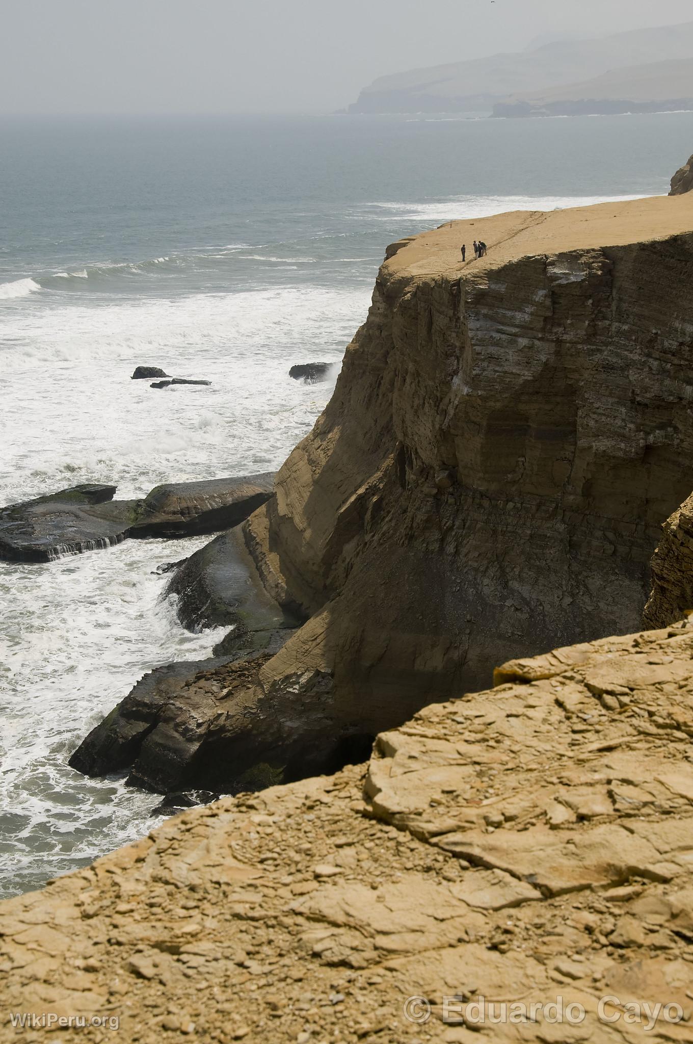 Reserva Nacional Paracas