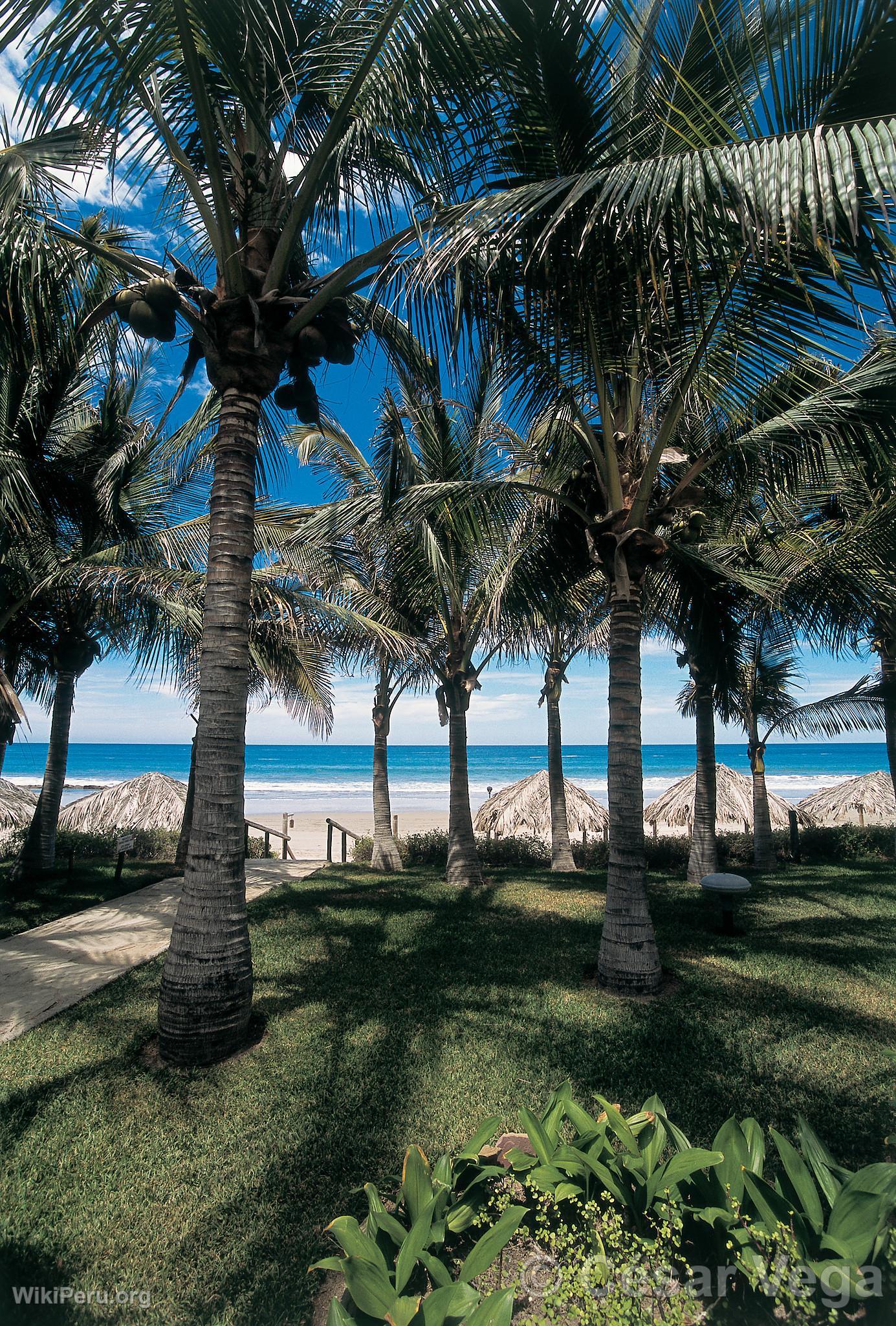 Playa de Mncora