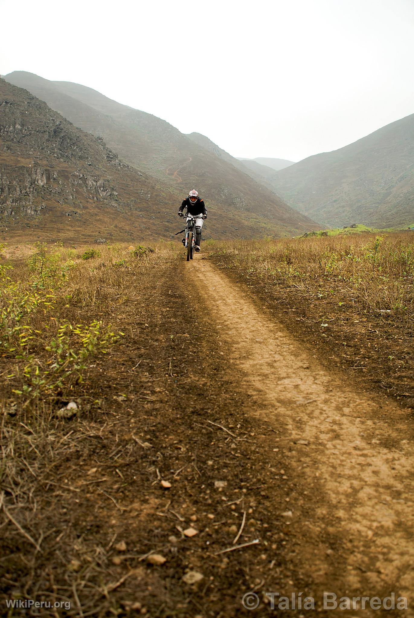 Ciclismo en las Lomas de Lcumo