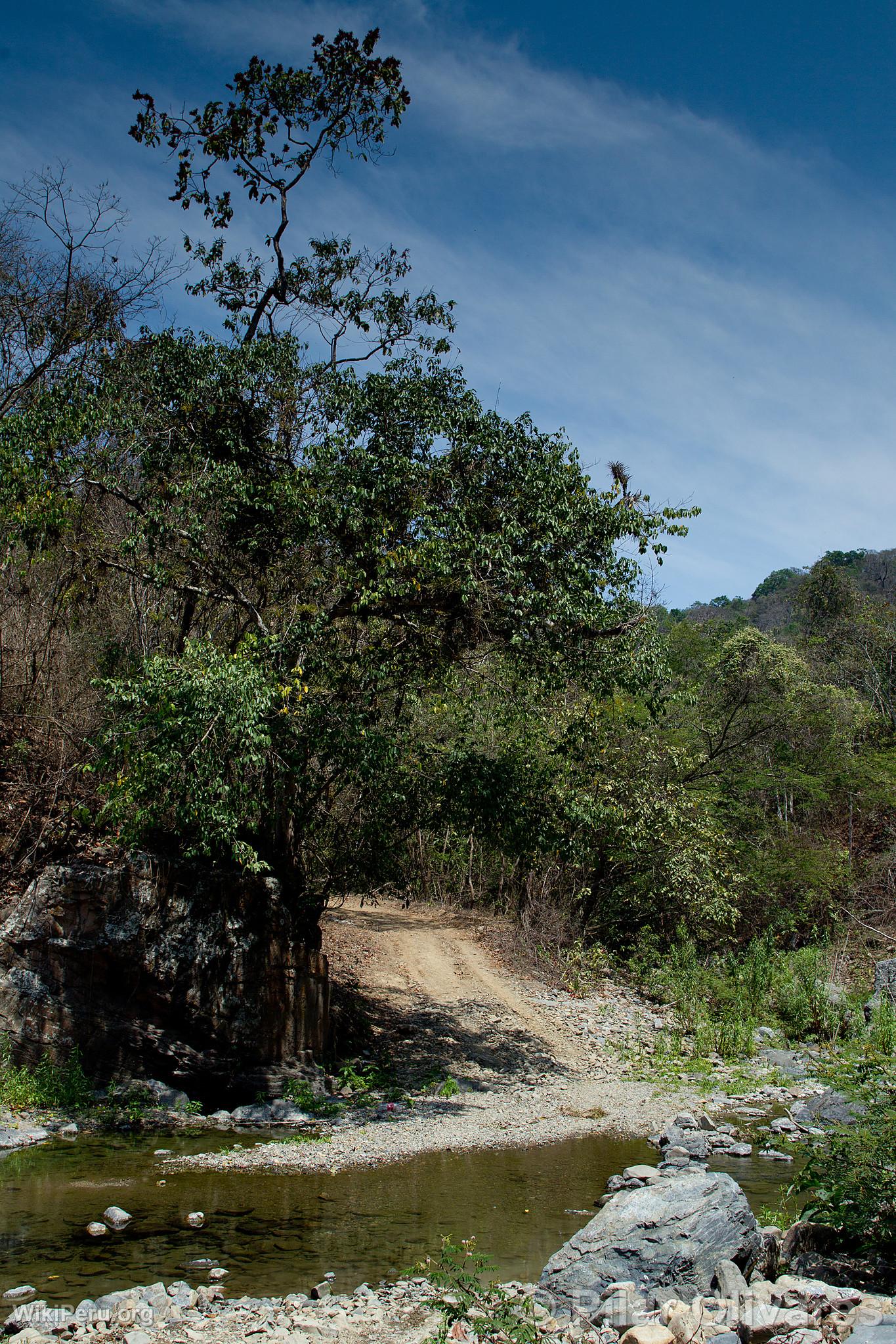 Parque Nacional Cerros de Amotape