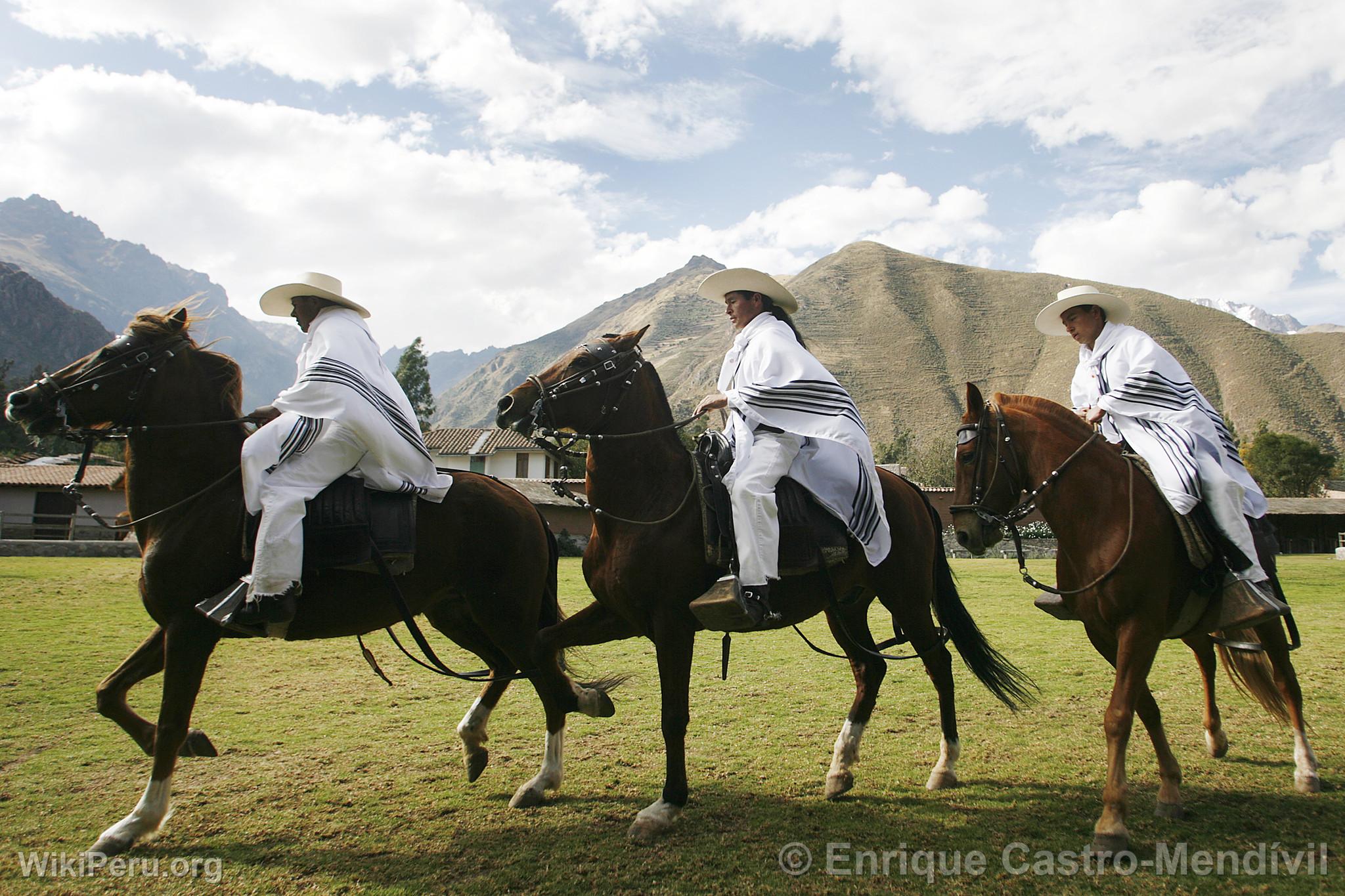 Caballos de paso