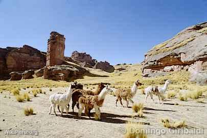 Llamas en Tinajani