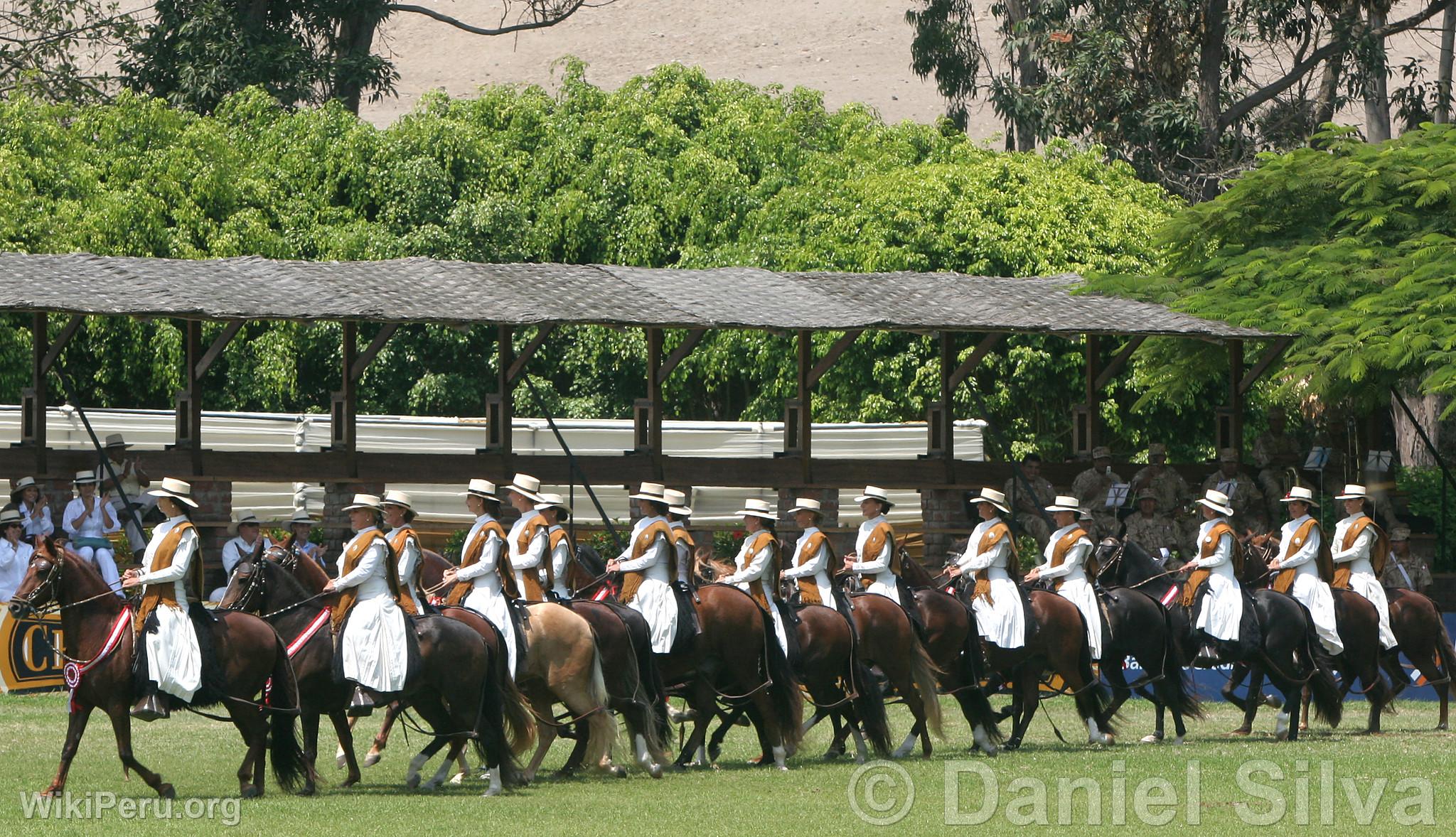 Presentacin de caballos de paso