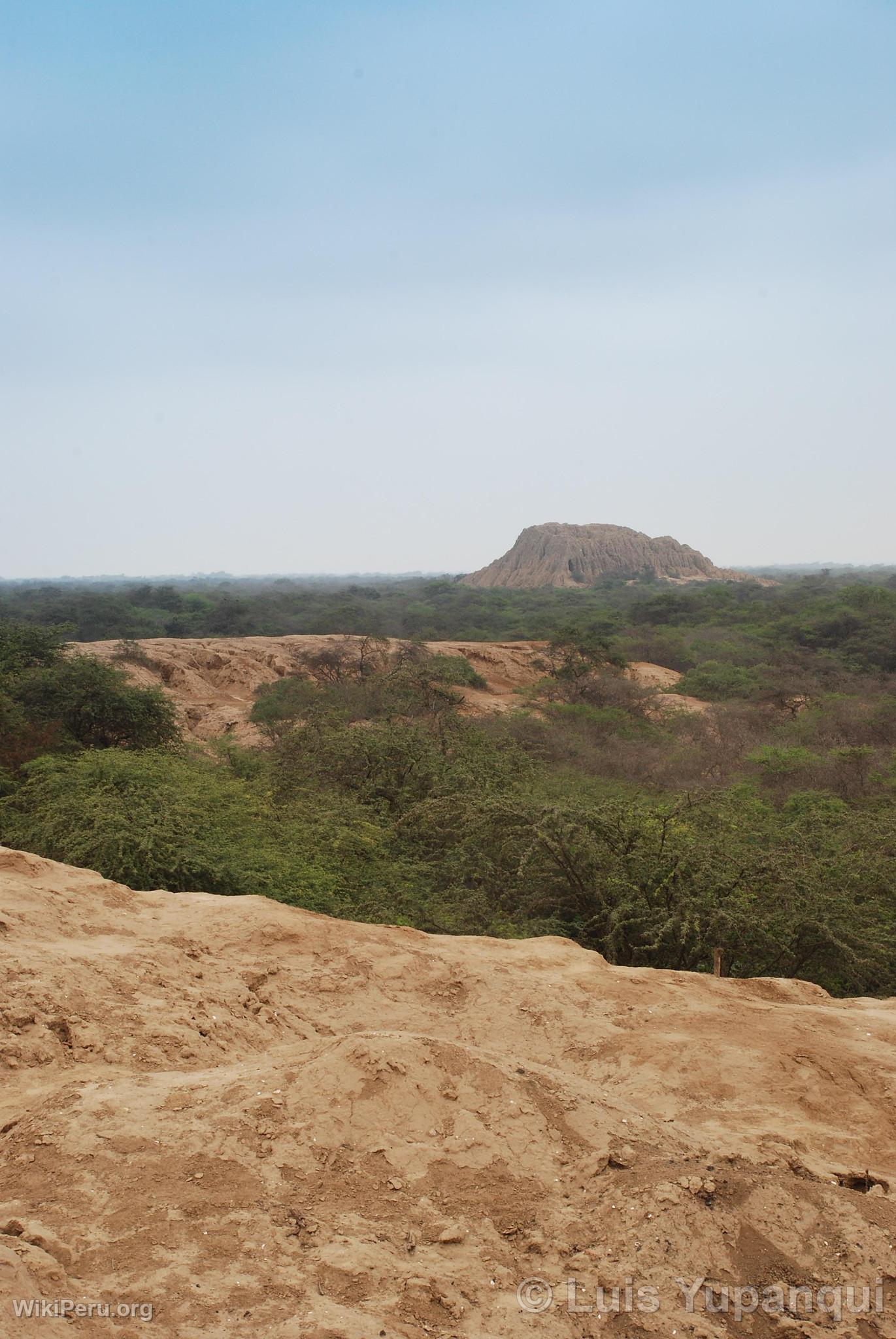 Bosque de Pmac