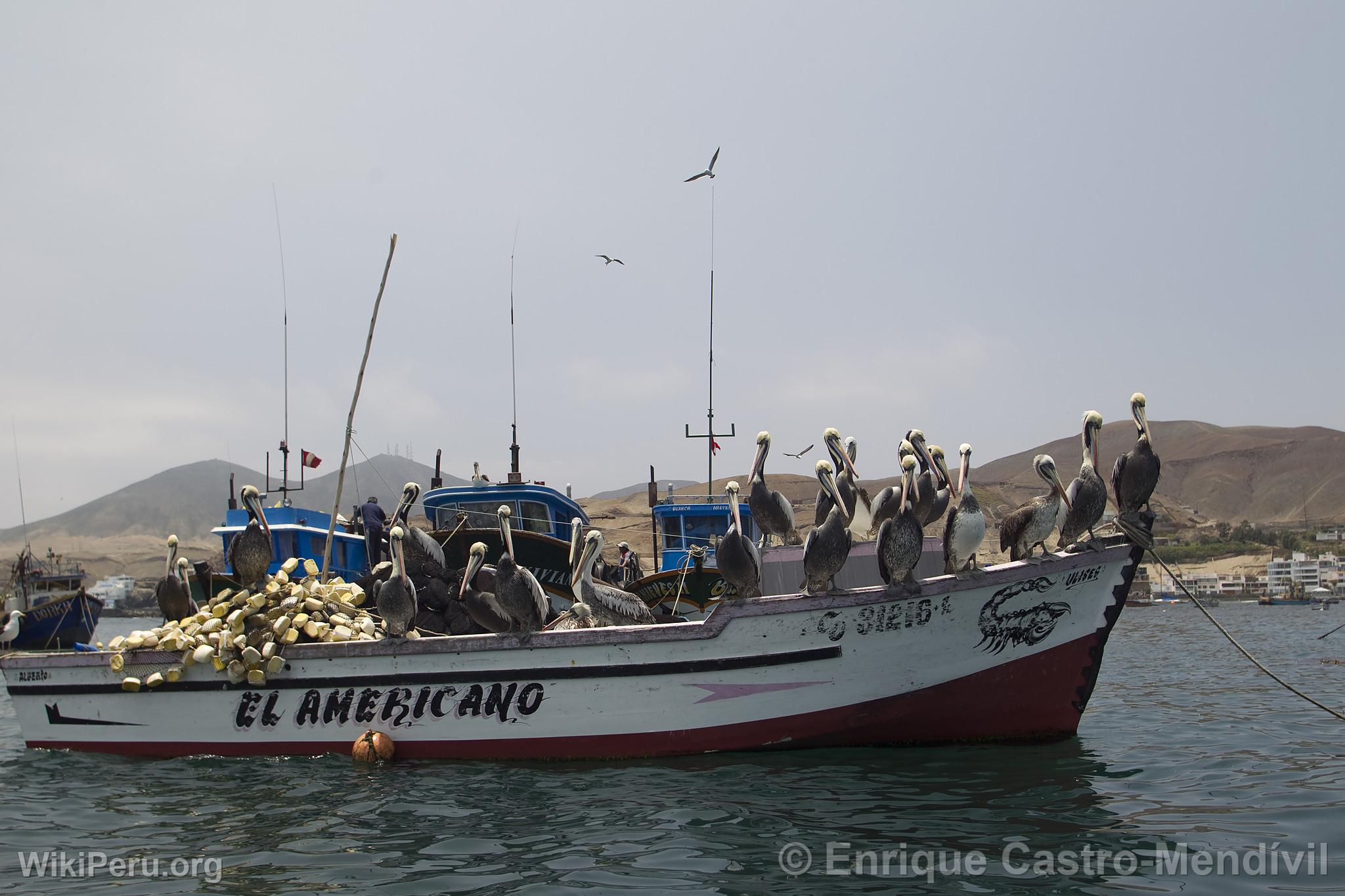 Botes de pescadores en el balneario de Pucusana