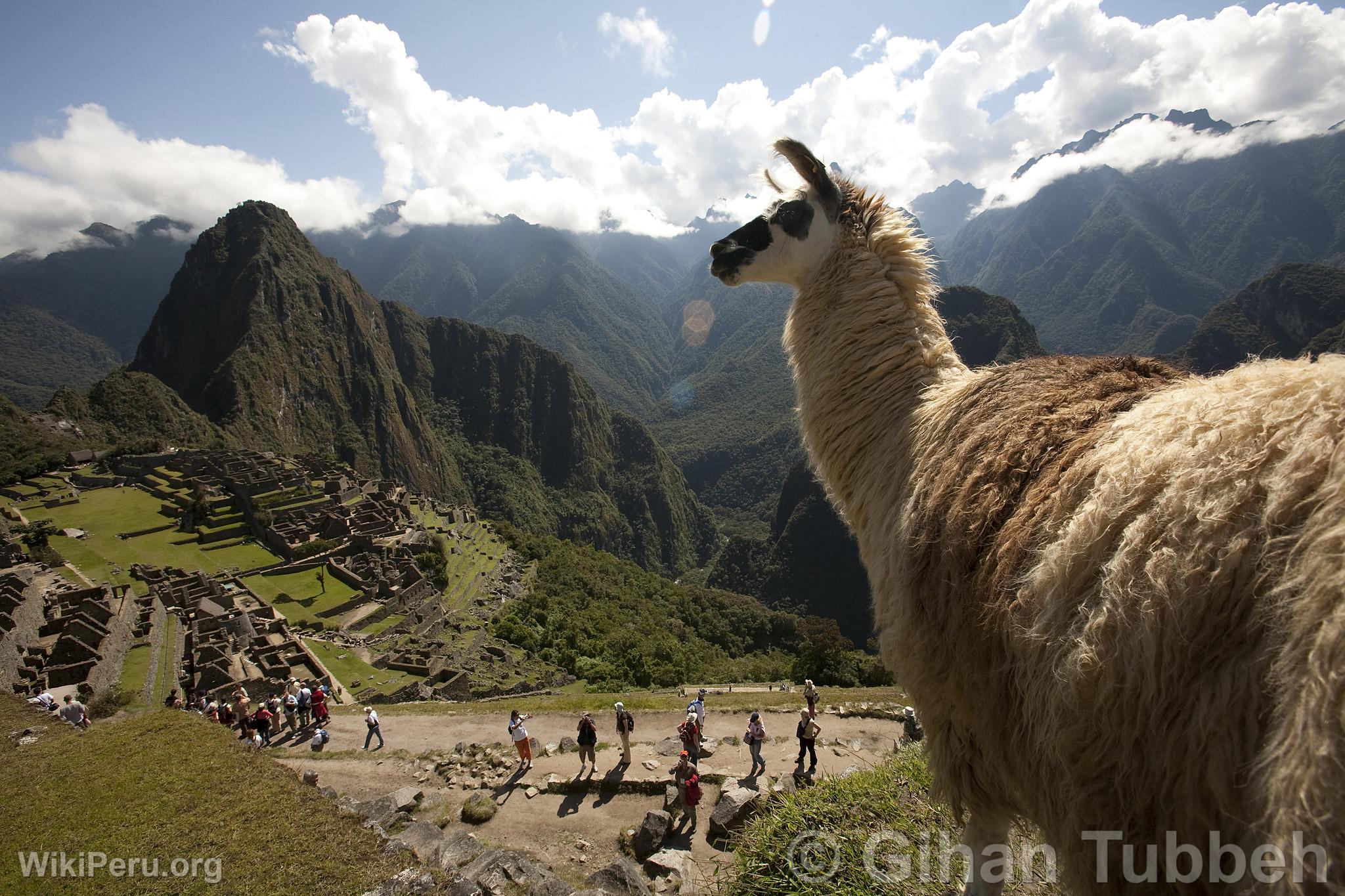 Ciudadela de Machu Picchu