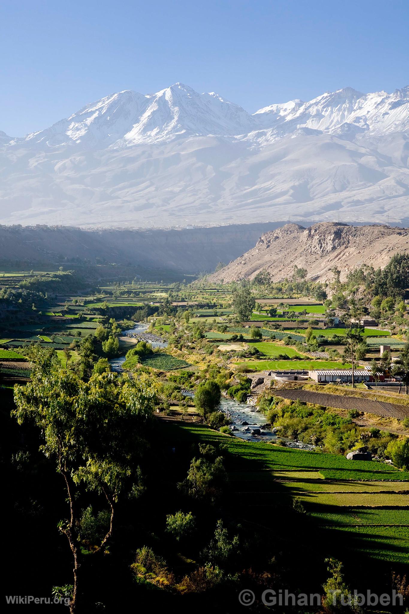 Volcn Chachani y campia de Arequipa