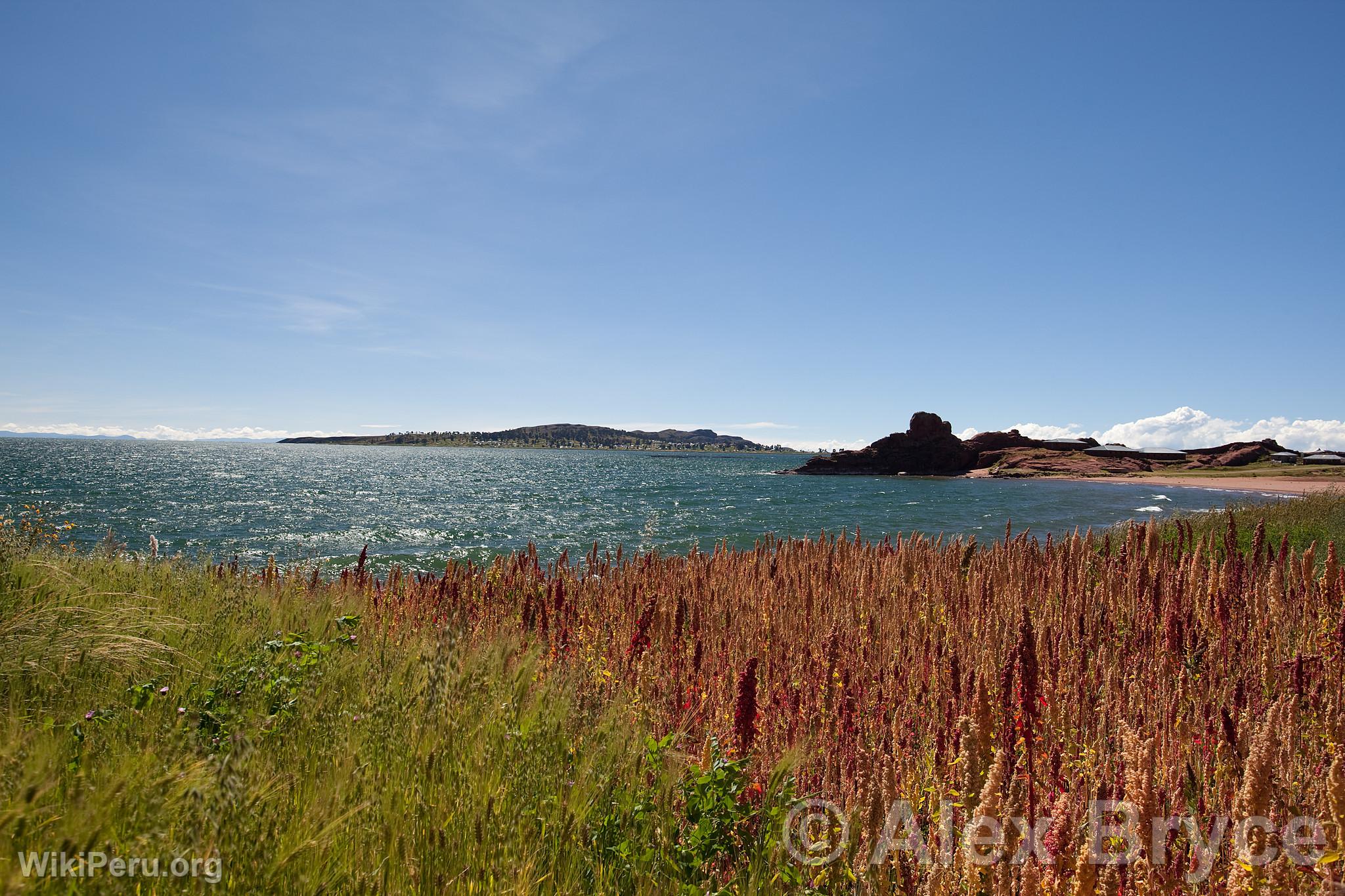 Lago Titicaca