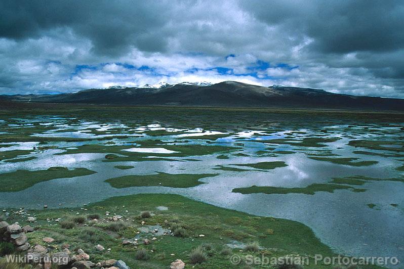 Reserva Nacional de Salinas y Aguada Blanca