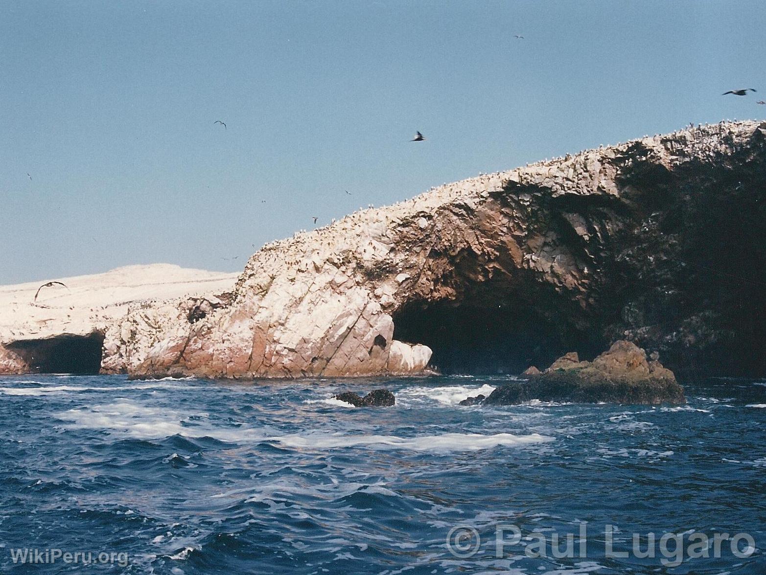 Islas Ballestas, Paracas