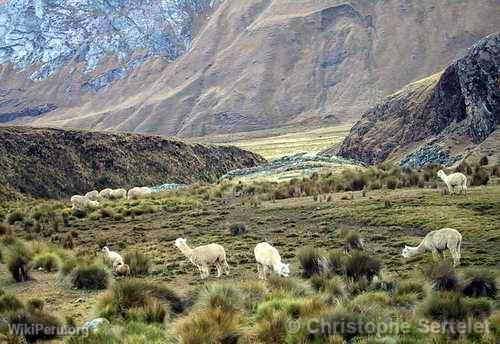 Cordillera Blanca