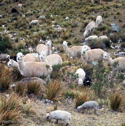 Cordillera Blanca