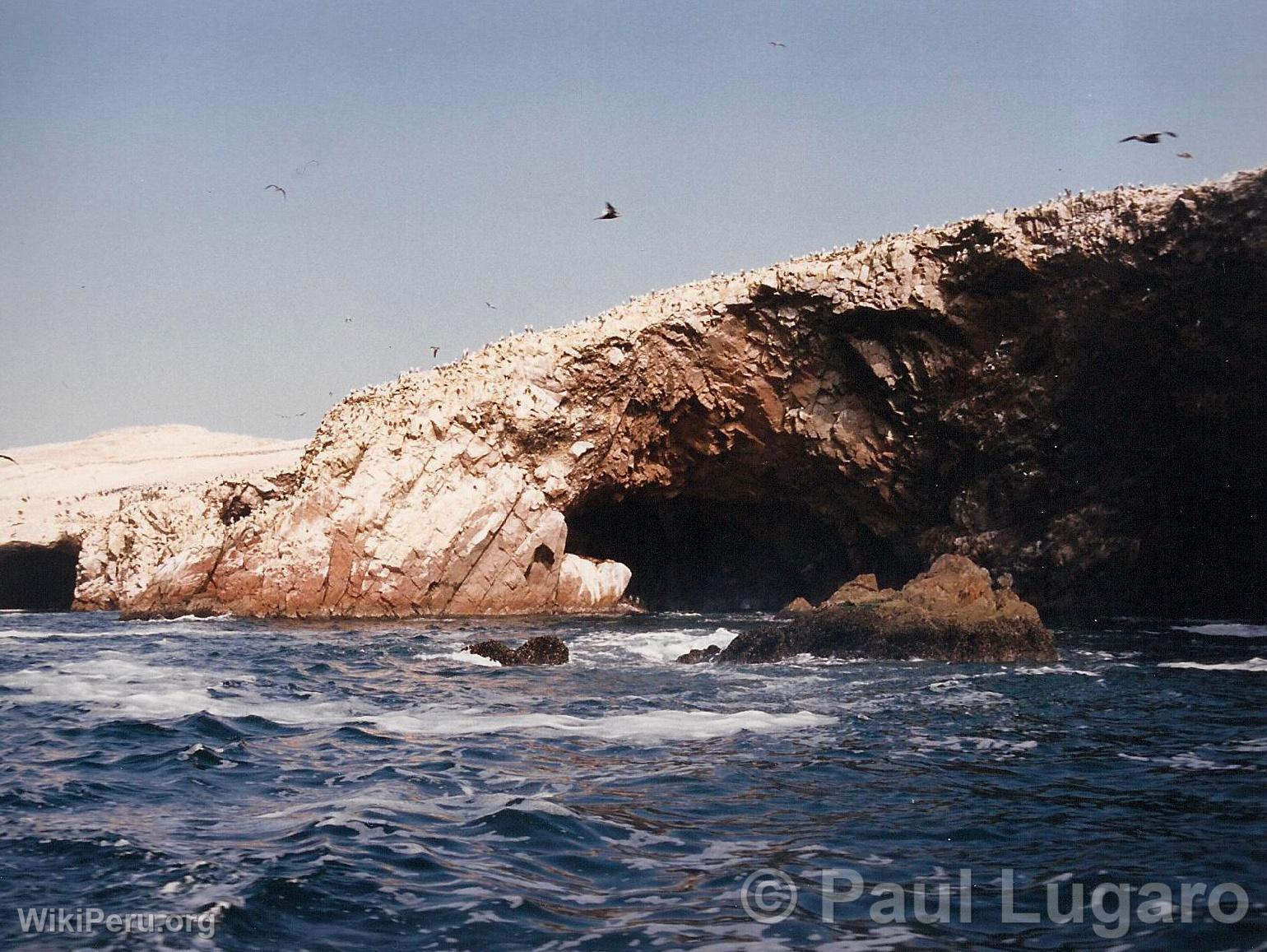 Islas Ballestas, Paracas