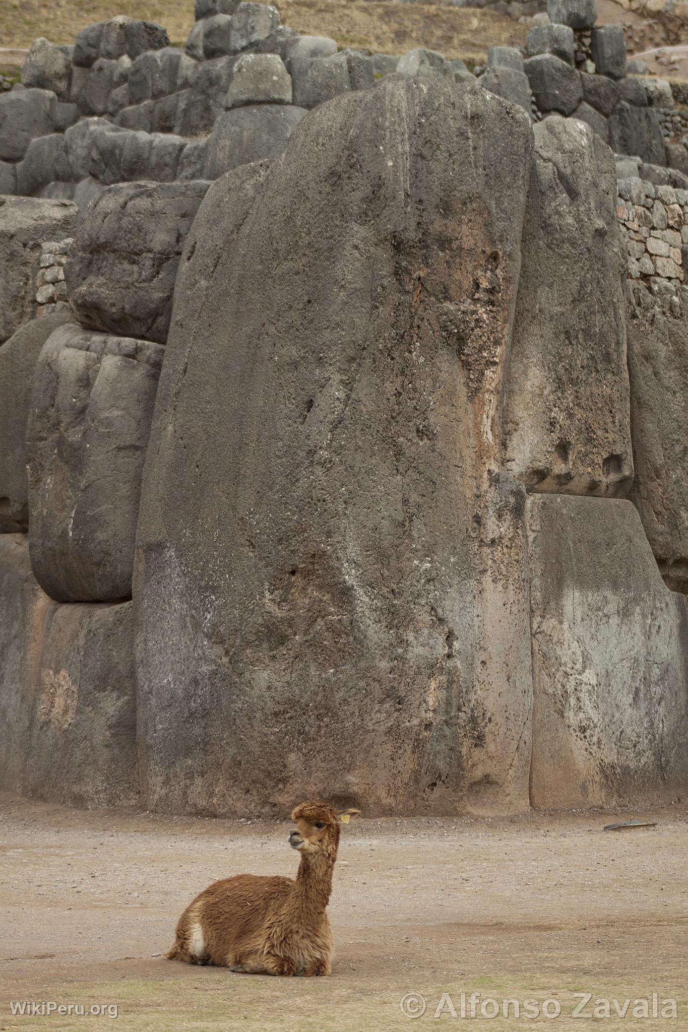 Fortaleza de Sacsayhuamn, Sacsayhuaman