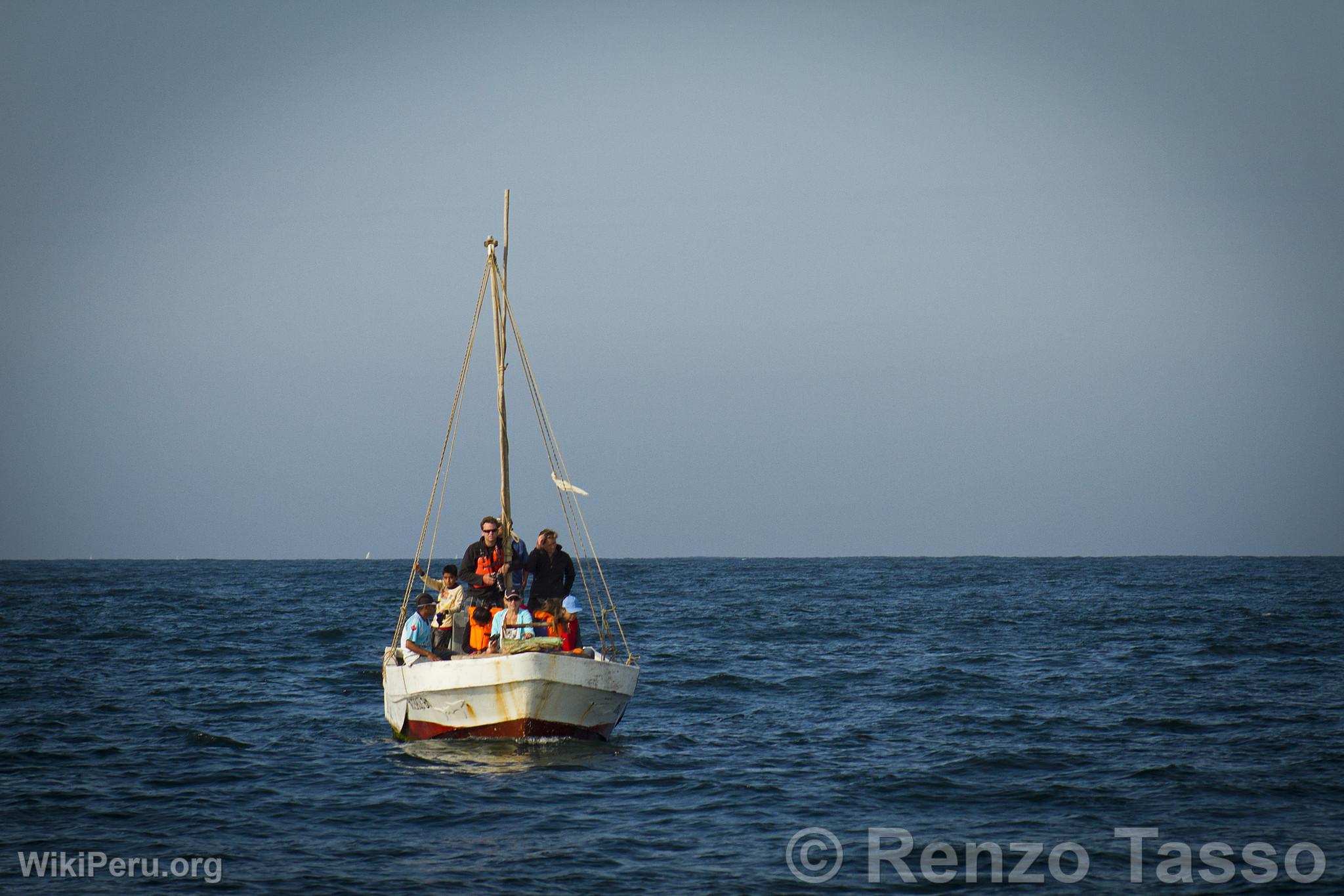 Avistamiento de ballenas