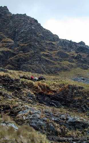 Cordillera Blanca